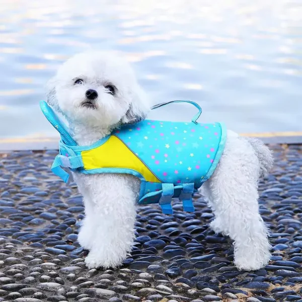 Summer Swimming Vest  Life Jacket / Adjustable