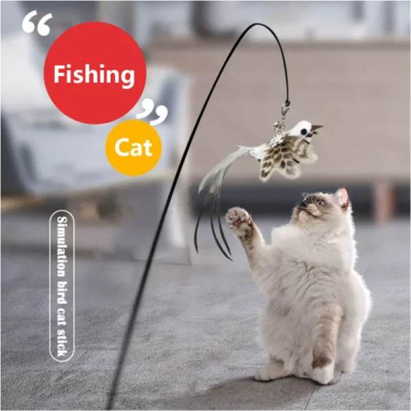 Simulation Bird Interactive  Bird With Bell