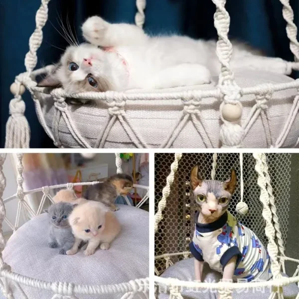 Winter Pet Hammock Cat Swing